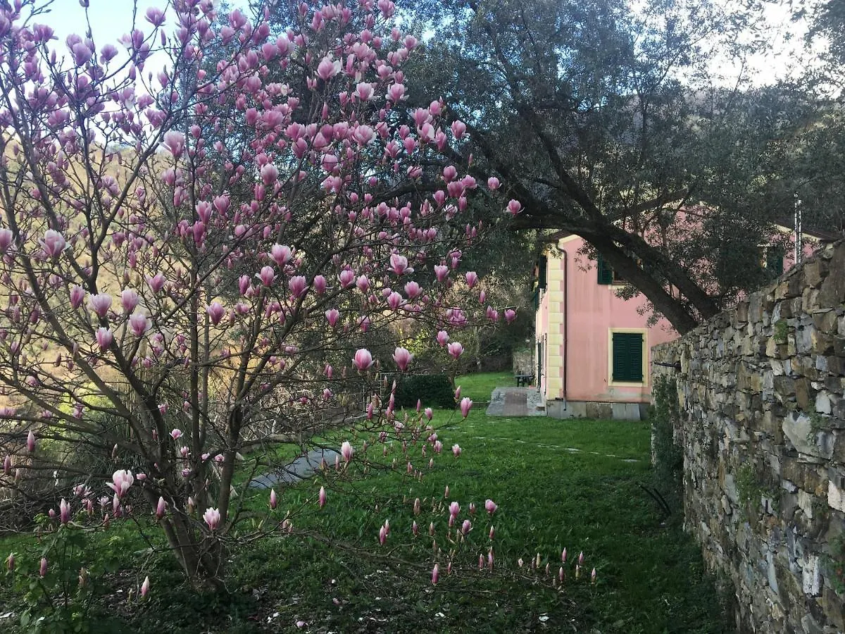 Villa Olivari - Apt La Salvia San Rocco  Apartmán San Rocco (Genoa)