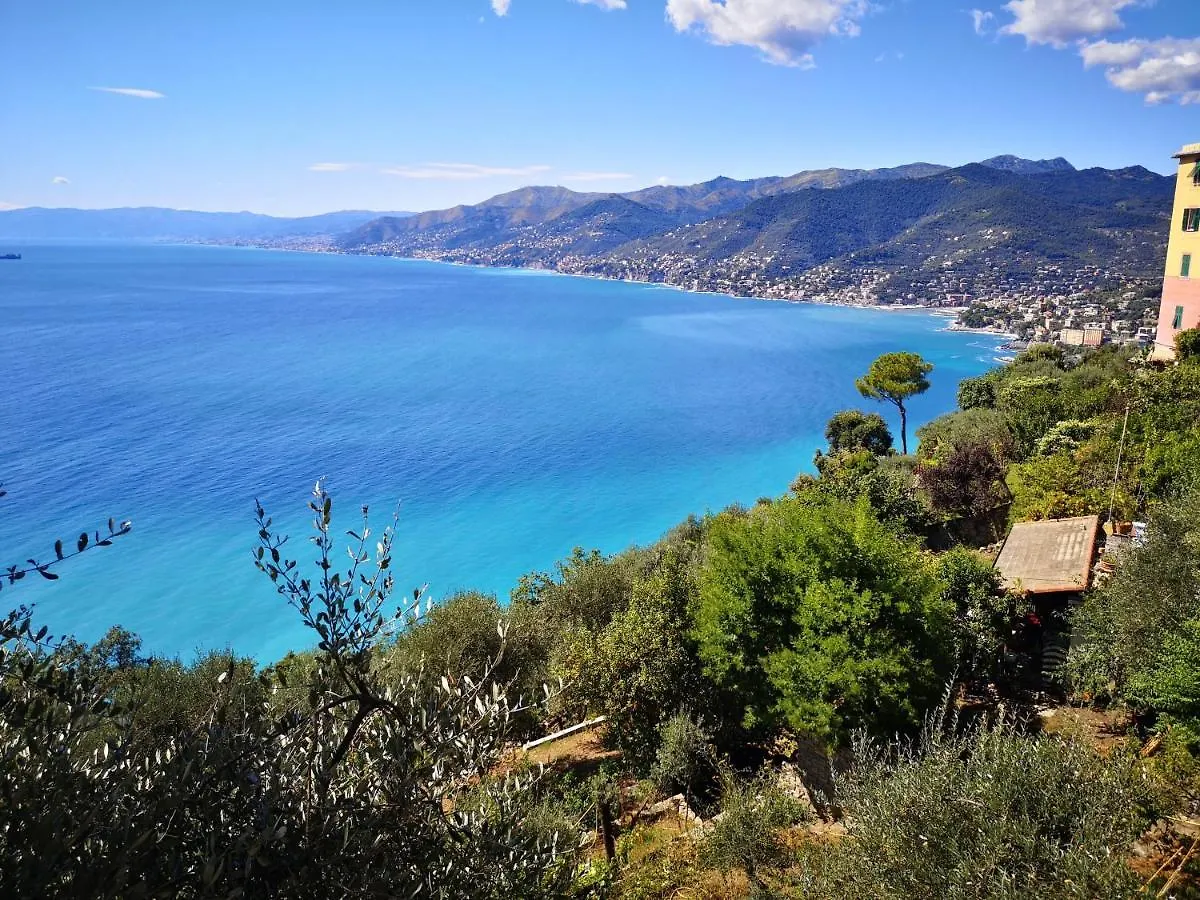Apartmán Villa Olivari - Apt La Salvia San Rocco  Itálie