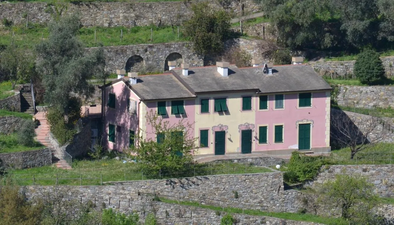 Villa Olivari - Apt La Salvia San Rocco  San Rocco (Genoa)